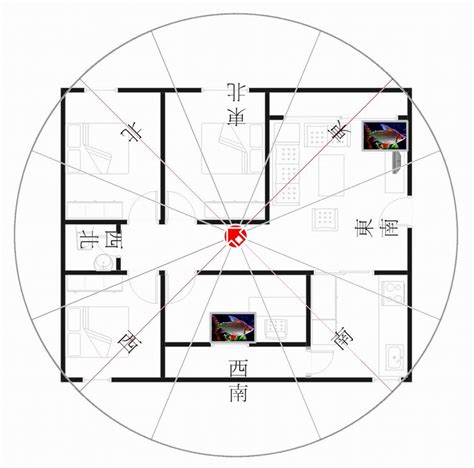 坐西南朝東北財位|大家來尋寶？風水大師：教你尋找家中的財位，努力之。